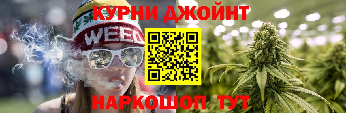 Конопля индика Гусев